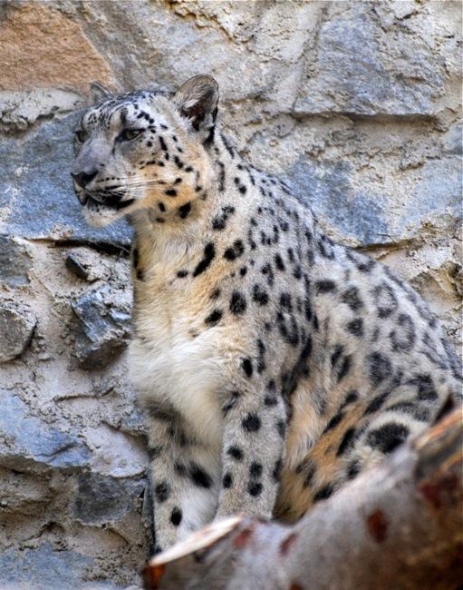 national parks worldwide