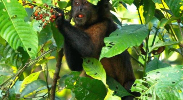 national parks worldwide money bolivia
