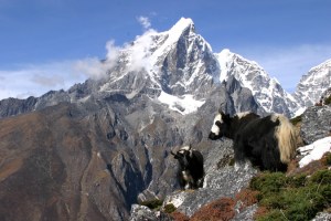 natioal parks worldwide