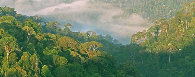 thailand national parks  thailand national parks of the world national parks of Asia  national parks worldwide Asian national parks national parks of thailand best national parks most beautiful national parks wildlife of thailand 