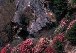 national parks nepal 01