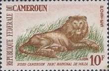 Cameroon - 1964 - Waza National Park – Lion (Panthera leo)